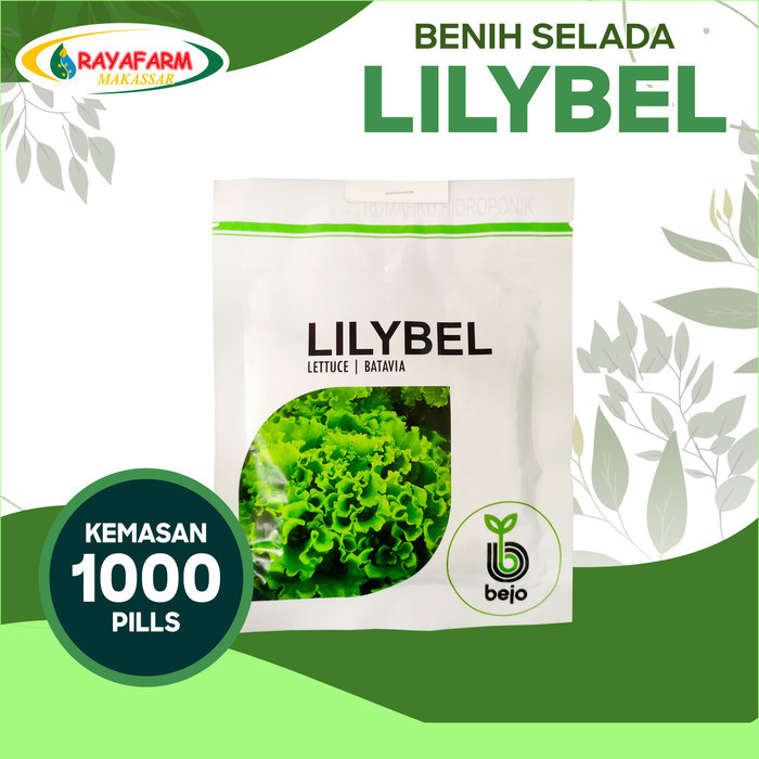 New Benih Bibit selada Batavia Lilybel 1000 pill - Bejo