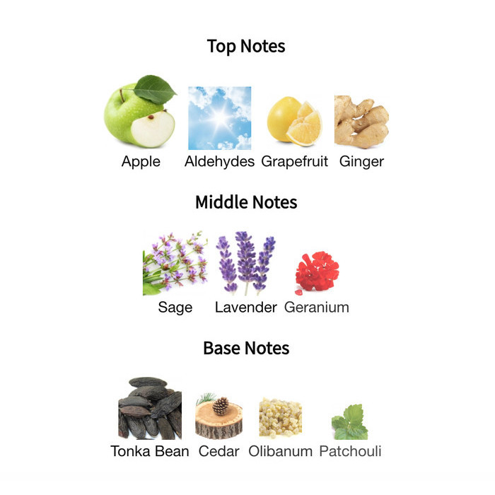 Parfum Ysl Y Le Parfum 100Ml