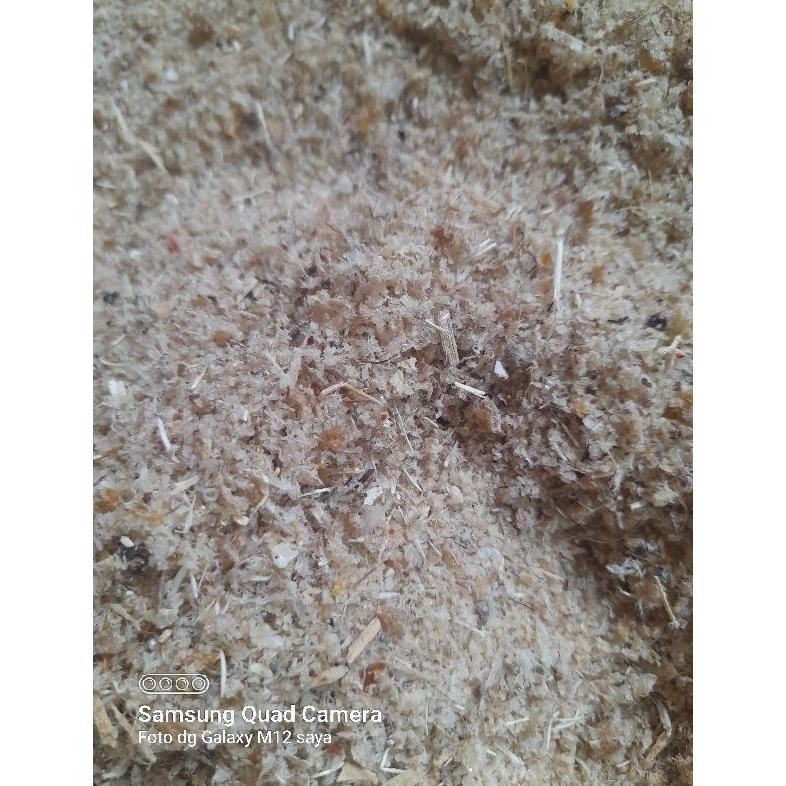 

Sarang Walet Hancuran Kotor 100 Gram New