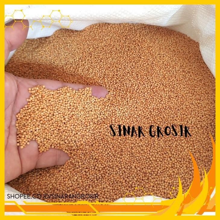

BIJI SAWI KUNING 250GR / 500GR - YELLOW MUSTARD SEED PRODUK TERBAIK
