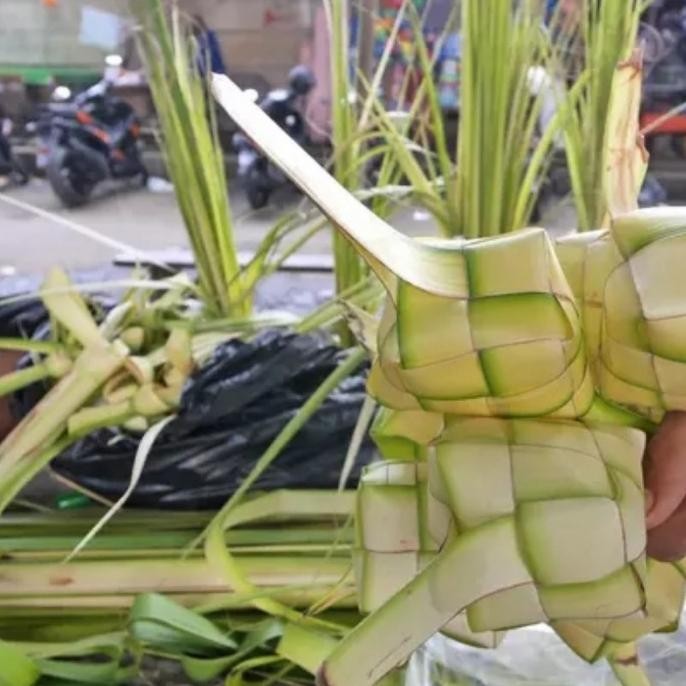 

KULIT KETUPAT UKURAN SEDANG 1 IKAT ISI 10