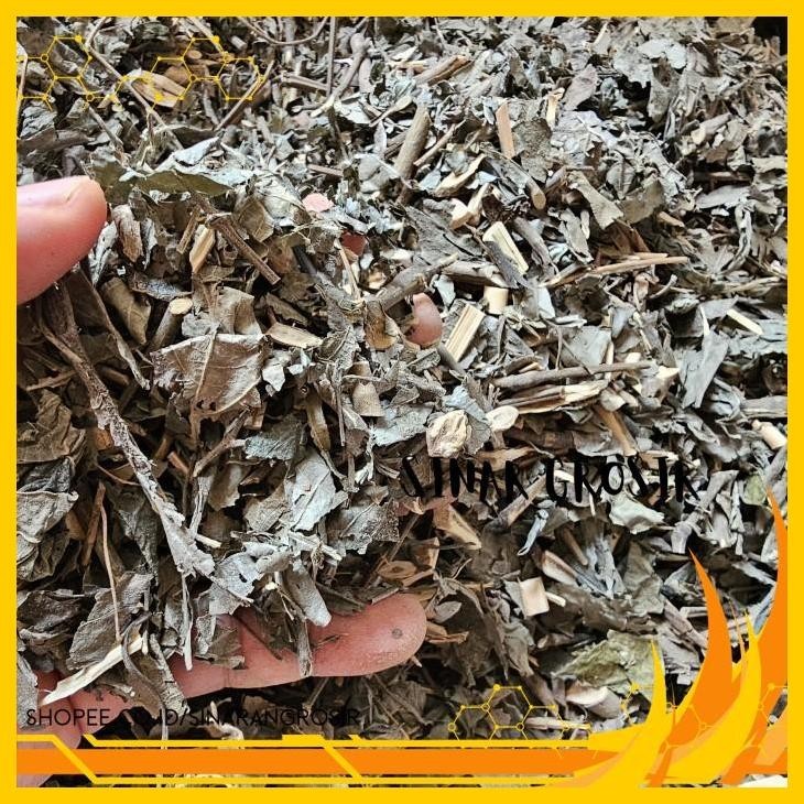 

DAUN KEJI BELING KERING 500GR KUALITAS TERBAIK