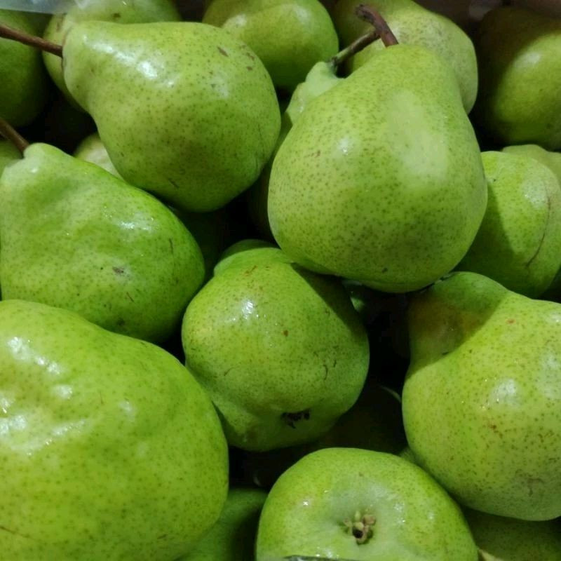 

Pear Ijo Packham Manis