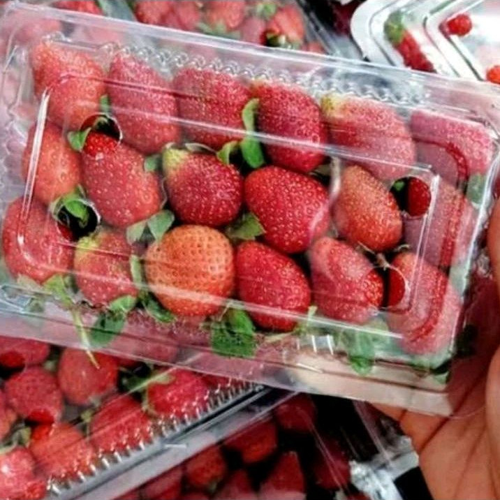 

Strawberry 1 pack