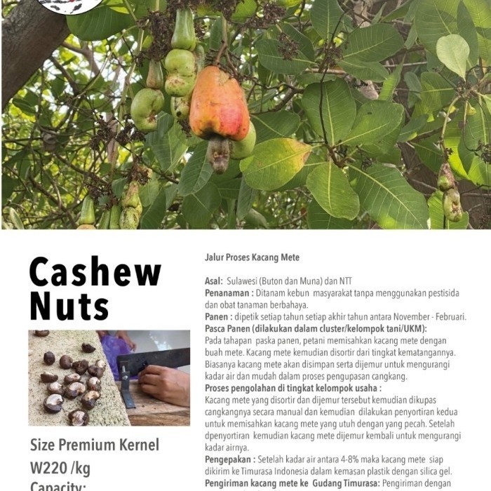 

PRODUK TERBATAS Kacang Mete Utuh Panggang / Cashew Nuts Whole Roasted Timurasa - 250gr