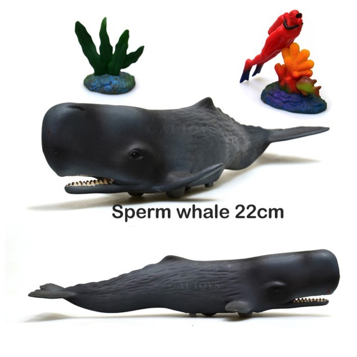 Miniatur Sperm Whale Paus Sperma 22 Cm
