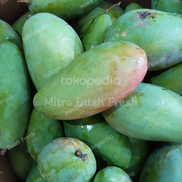 

Mangga Thailand Kiojay Per Kg