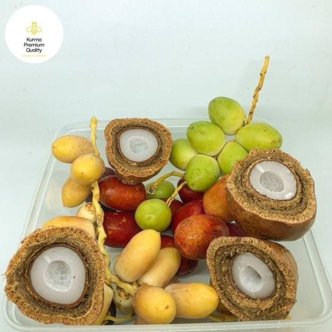 

Spesial Paket Promil Kurma Muda 500Gr Plus Buah Zuriyat Belah 2 Biji Geordino516