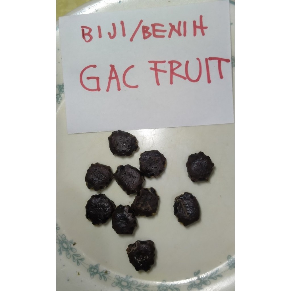 Biji Benih Bibit Buah GAC Fruit TOP