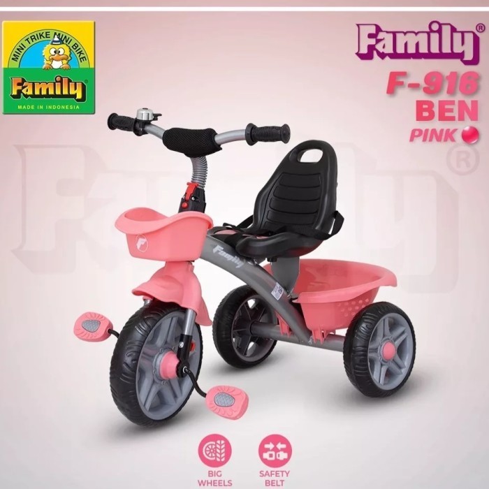 Sepeda Anak Roda 3 Faly F916 Ben