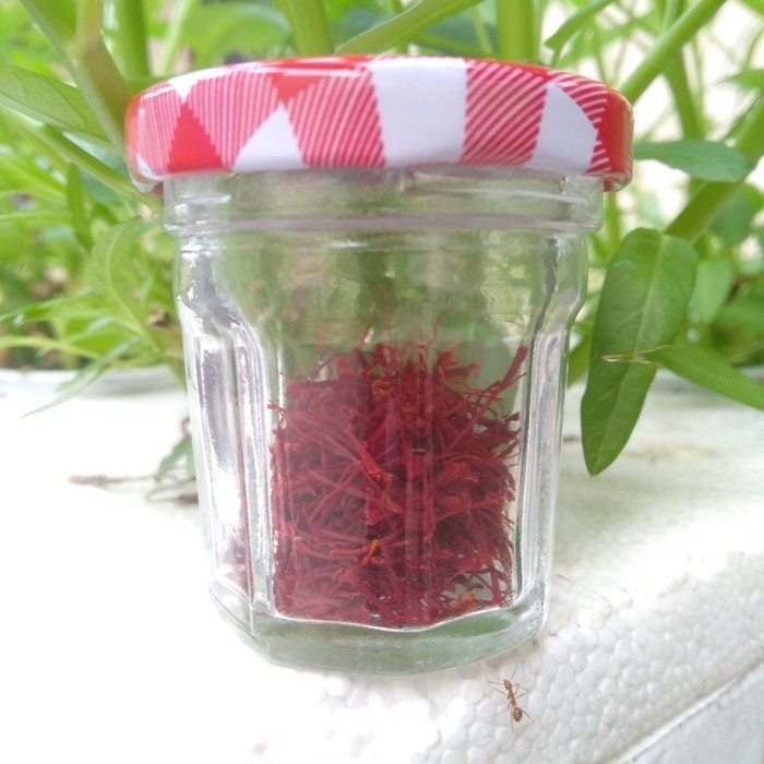 

Saffron Impor Original Fresh Iran grade A