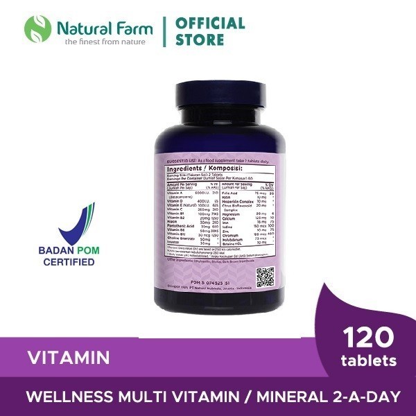 Wellness Multivitamin/Mineral 2-A-Day ( 120 )