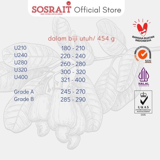 

Barang Terlaris Sosrait Kacang Mete Mentah Utuh Asli Sumba U400 Myeshandira