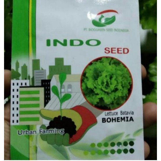 selada bohemia repack