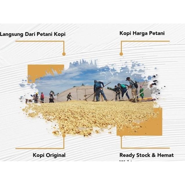 

Baru GREEN BEAN ARABICA FLORES KOMERSIL KOPI SUSU Kode Ql 056