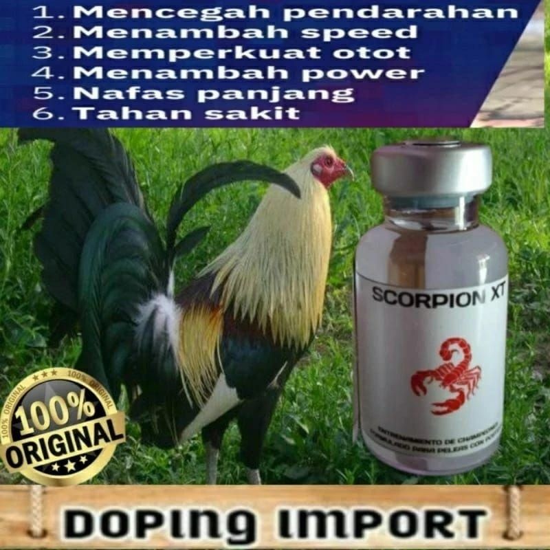 

BEST SELLER DOPING AYAM TAJI IMPOR SCORPION XT Doping Ayam Laga Terbaik