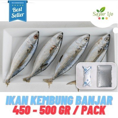 

Ayala - Ikan Kembung Banjar 450 - 500 Gram Fresh Frozen Daging Seafood Segar