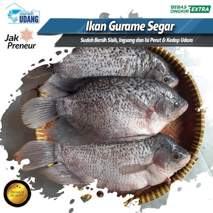 

Ayala - Ikan Gurame Segar Fresh Seafood Groume Fish