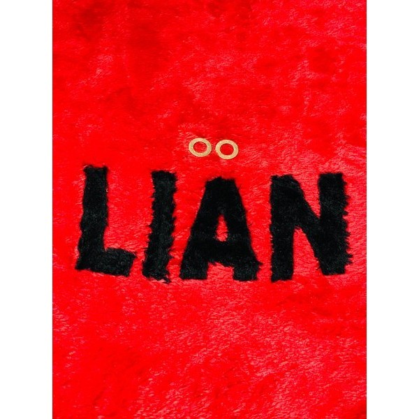 Ring Stang Seher-Washer Suzuki Ts 125 Original Sgp