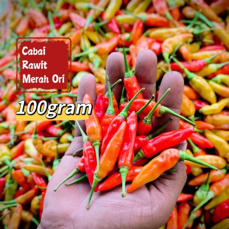 

Cabe Lombok Cabai Rawit Merah Ori 100gram TJAGRO