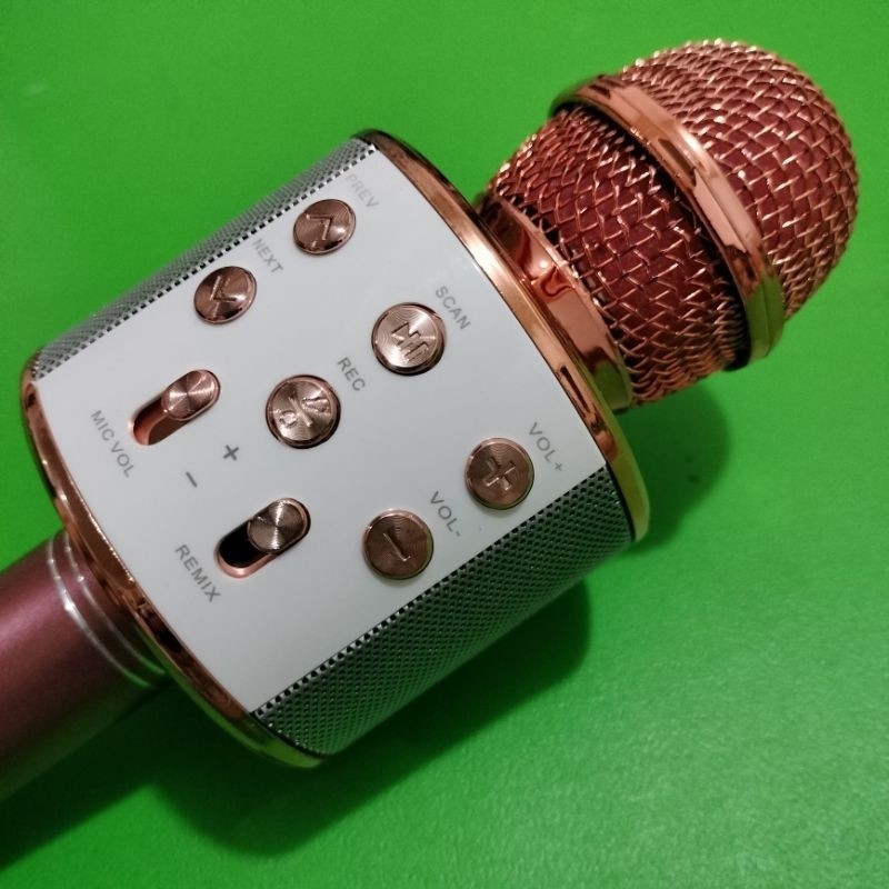 Mic Microphone Wireless HIFI Speaker Bluetooth WS-858 Reject Gambling