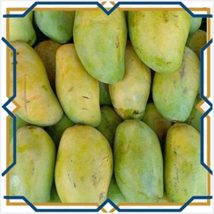 

[LDY] MANGGA BUDI RAJA 1KG