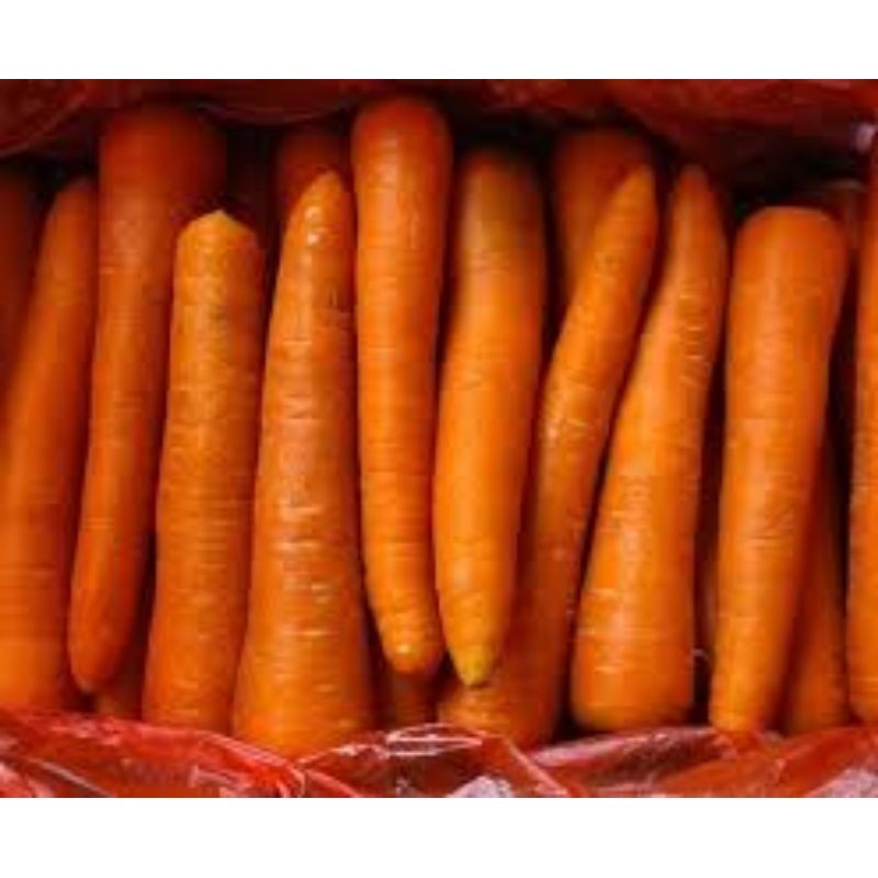 

WORTEL/CARROT BRASTAGI FRESH IMPOR