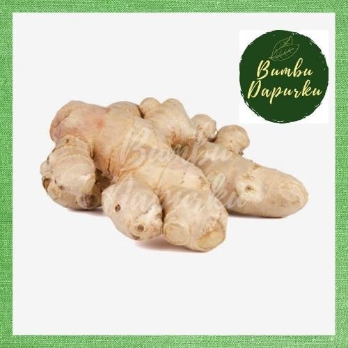 

Jahe Gajah Segar / Ginger / Jahe Putih