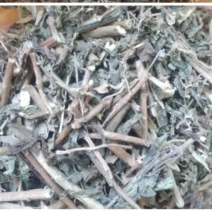 

Daun Kumis Kucing Kering 1Kg