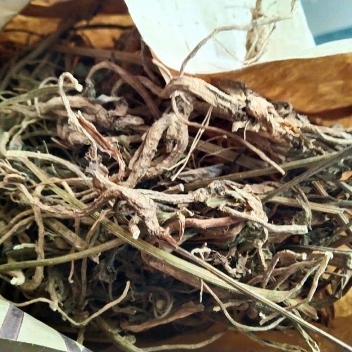 

Akar Purwoceng Kering