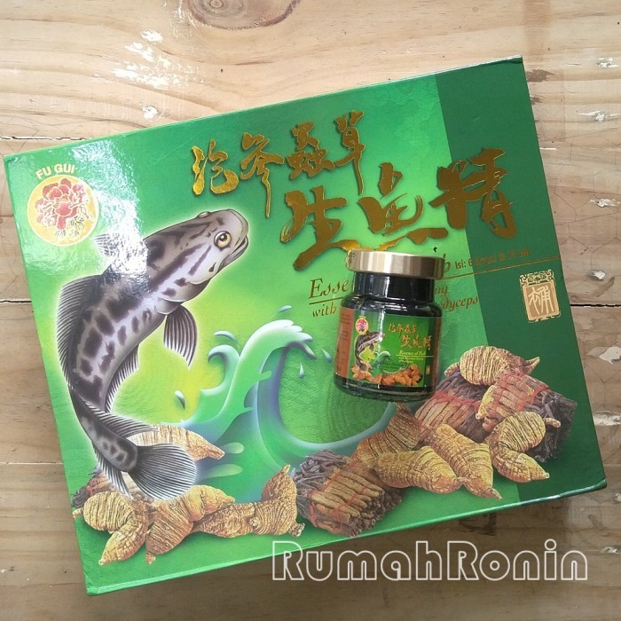 Saripati Ikan Gabus Albumin Saripati Ikan Kutuk Minyak Gabus