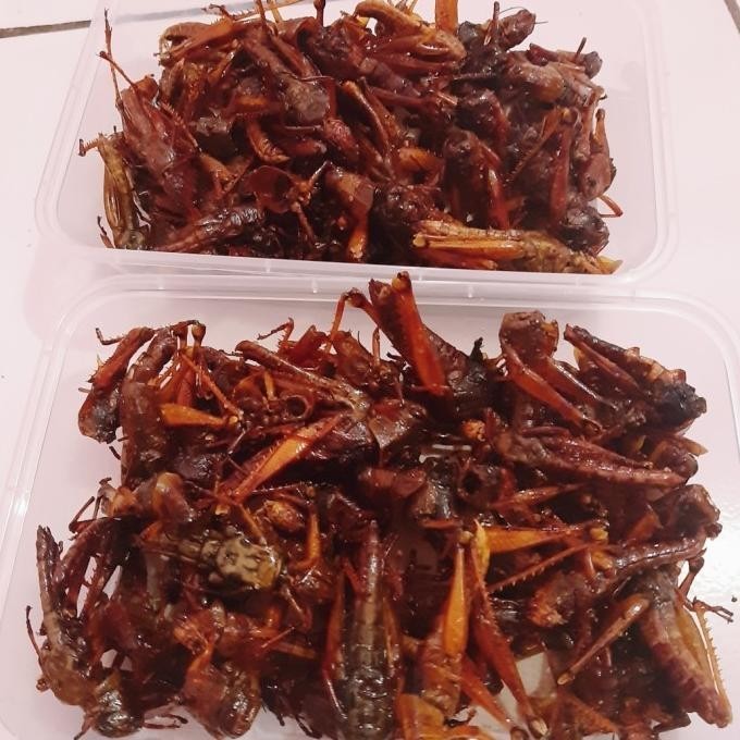 

READY STOCK BELALANG GORENG !!!!!