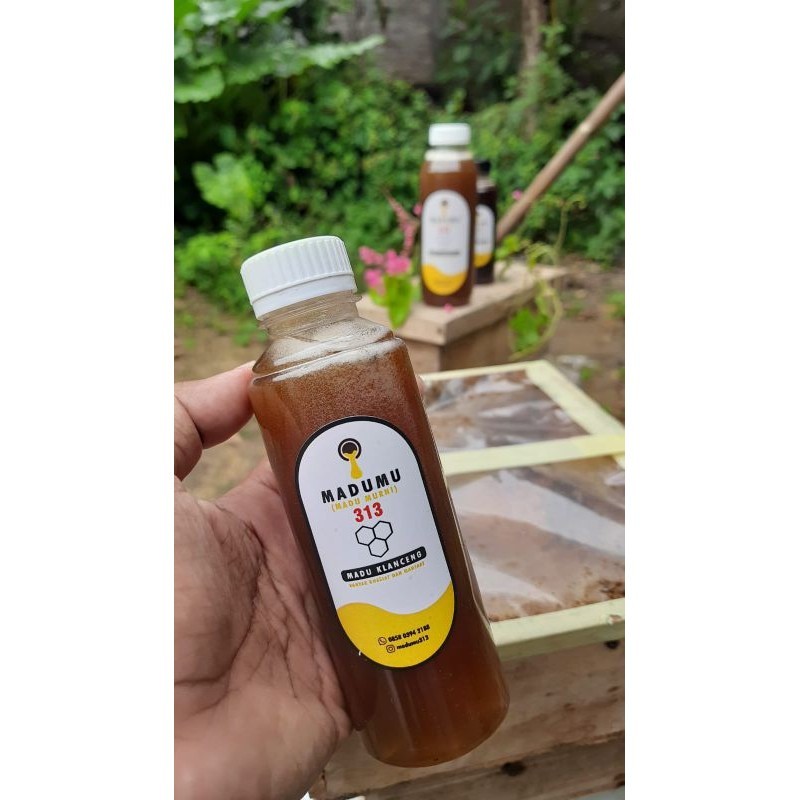

Madu klanceng Trigona Leavicep 100% murni