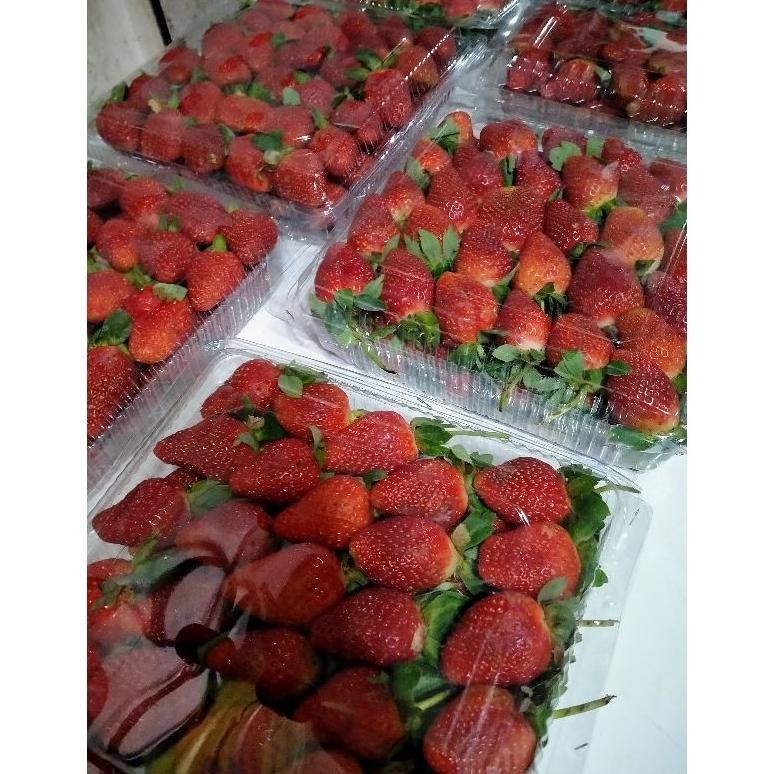 

Promo Termurah Buah Strawberry Fresh Premium
