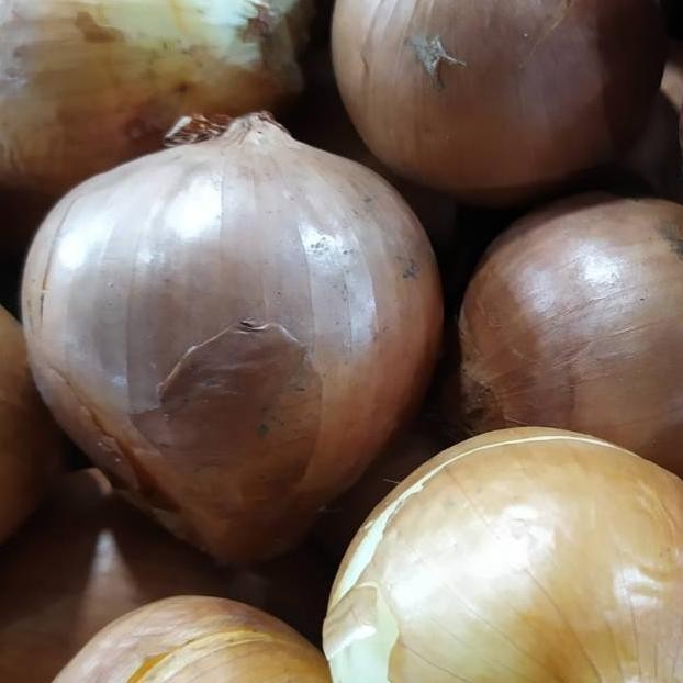 

Bawang Bombay /500 Gram