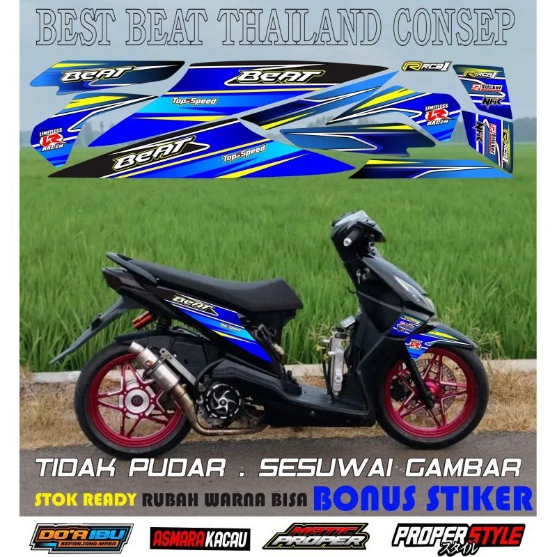 striping beat karbu striping beat thailand striping beat vietnam