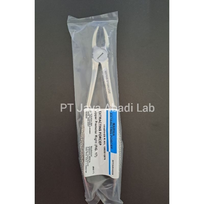 dental tang cabut gigi mahkota molar kanan dewasa ekstraksi geraham rahang atas