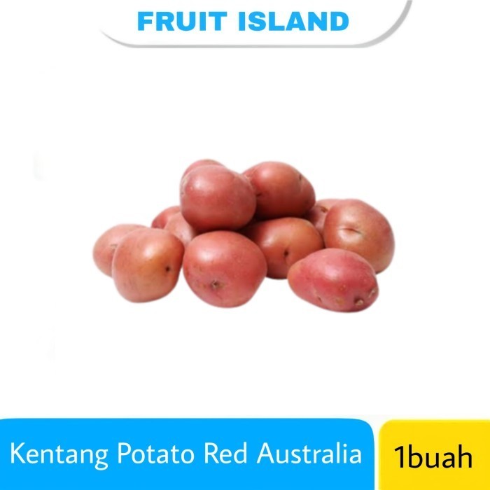

Terbaru Kentang Potato Red Import Australia 1 Pcs Promo Terlaris