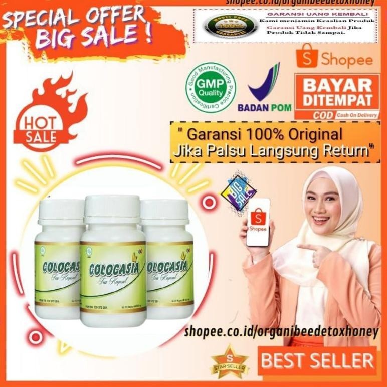 YANG BARUUU COLOCASIA OBAT NYERI SENDI LUTUT TULANG ISI 20 KAPSUL