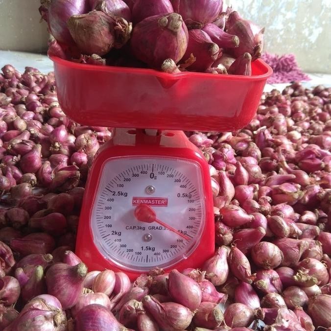 

Bawang Merah Brebes