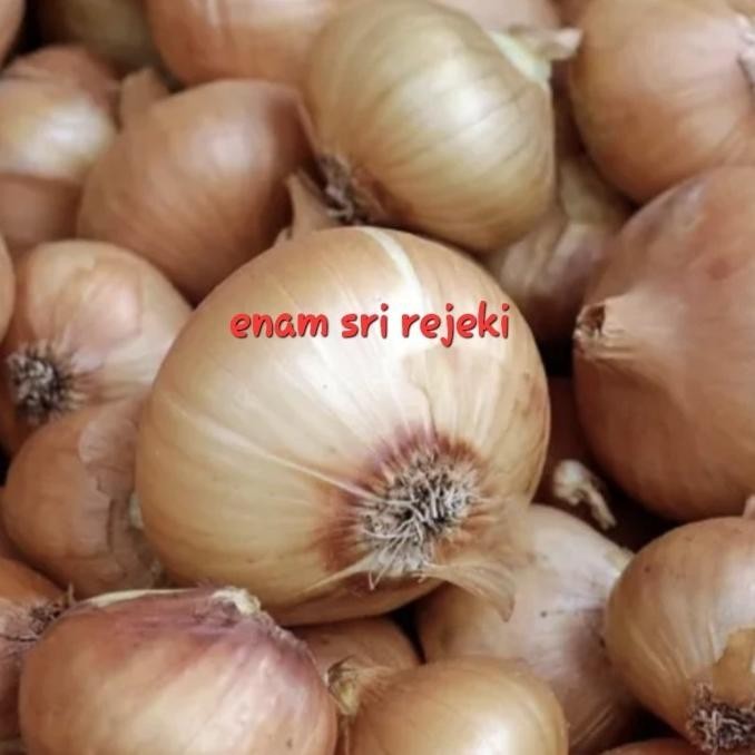 bawang bombay 1kg