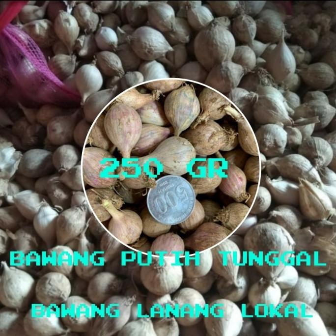 

BAWANG PUTIH TUNGGAL/BAWANG LANANG LOKAL 250GR