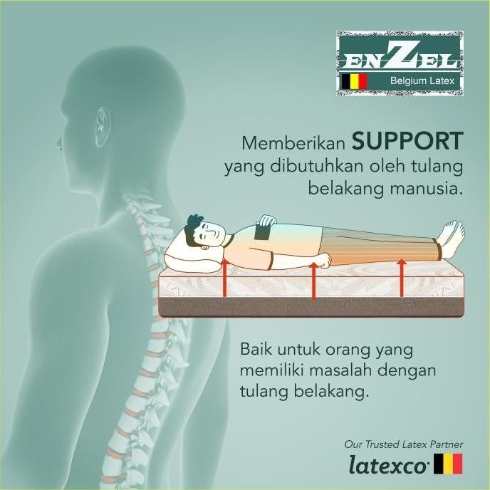 Kasur Latex Enzel Neoclassica Uk 160x200