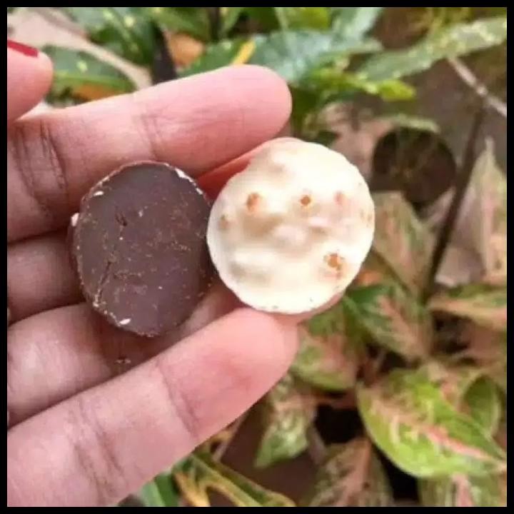 

HOT DEAL TOBELO GOLDEN BALLS COKLAT EMAS GOLDEN BALL COKELAT GOLDEN BALLS HALAL