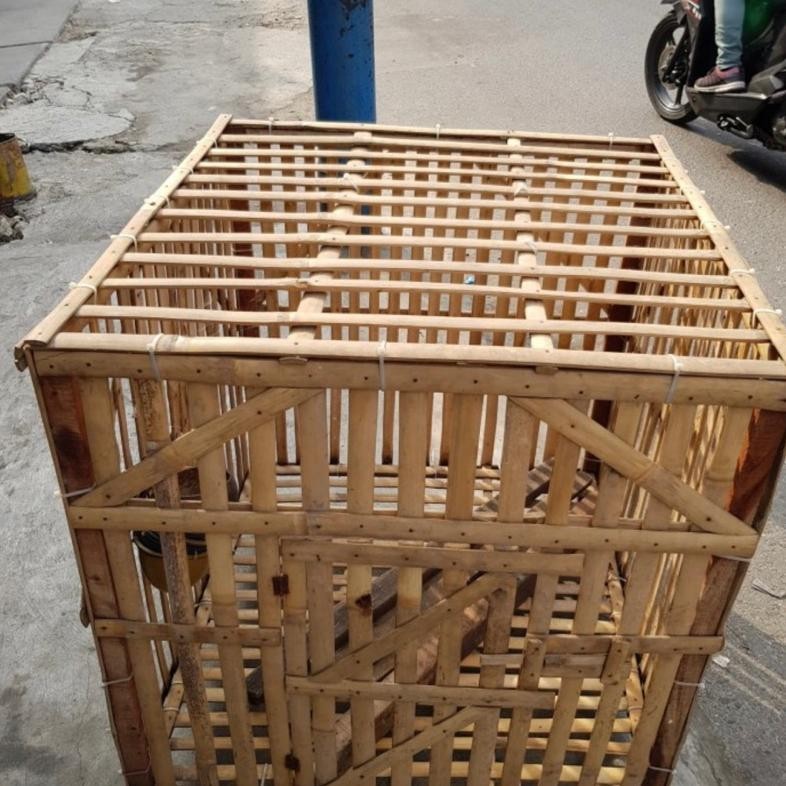 Kandang Ayam Lipat 71 X 80 Cm Kandang Ayam Bambu Sangkar Ayam Jago
