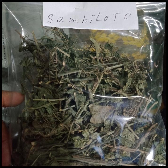 

BEST DEAL SAMBILOTO KERING !