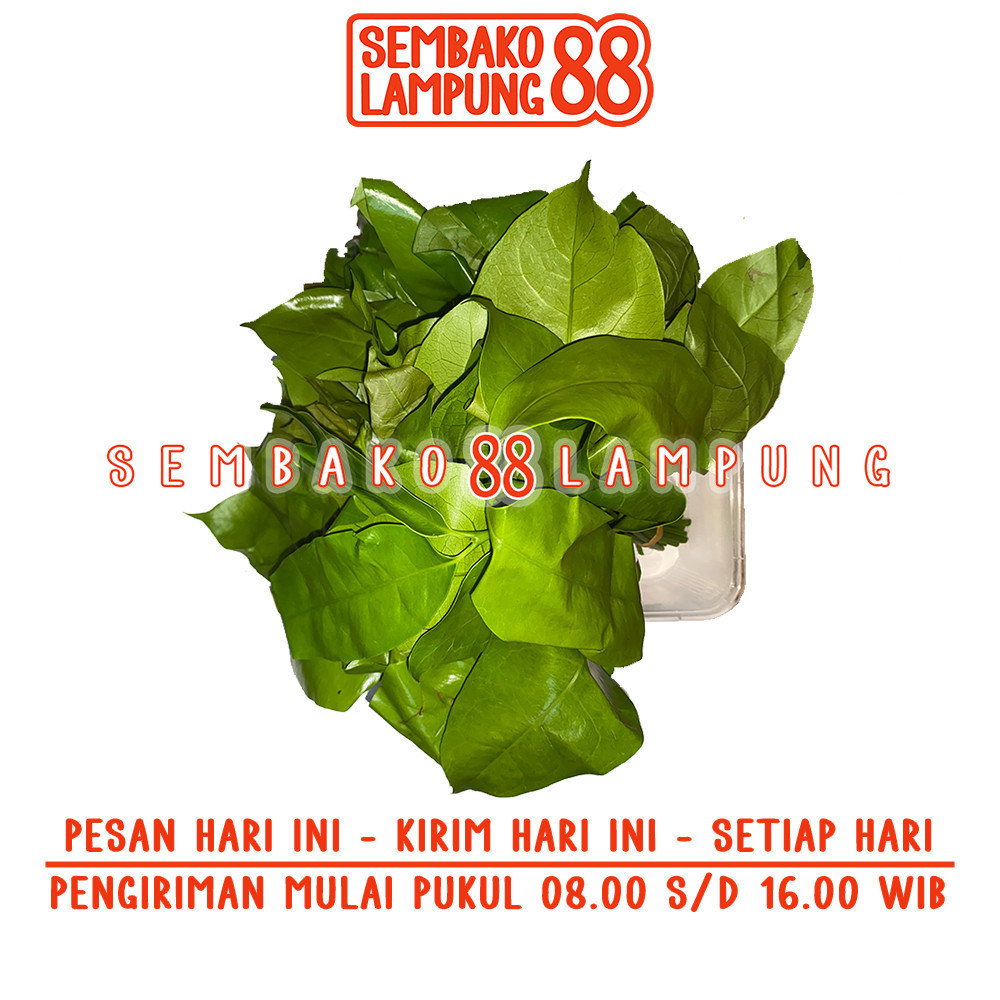 

Daun Tangkil 1 Ikat | Sembako Lampung 88