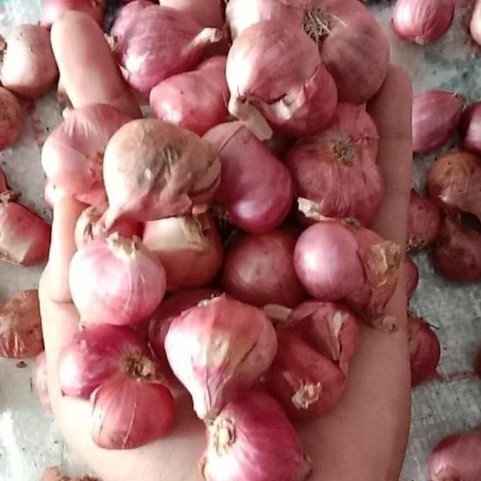 

PROMO Bawang Merah Kecil 500 Gr Asli Nganjuk - Shuffel BERKUALITAS