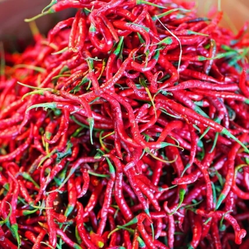 

Cabe Merah Keriting 500 Gr Fresh Dari Petani Madium