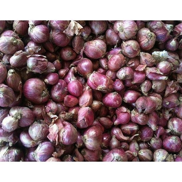 

TERLARIS Bawang Merah Besar Sedang Super Kering 1/2Kg Fresh Dari Petani - MURAH